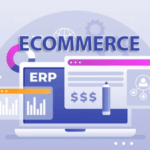 ERP E-commerce